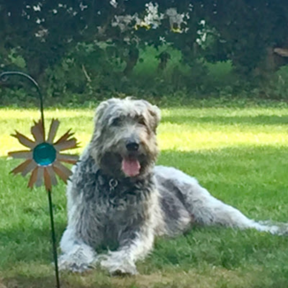 Meet your Posher, Holly